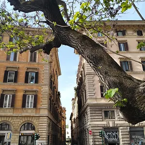 Vatican Near Sweet Terrace Appartamento